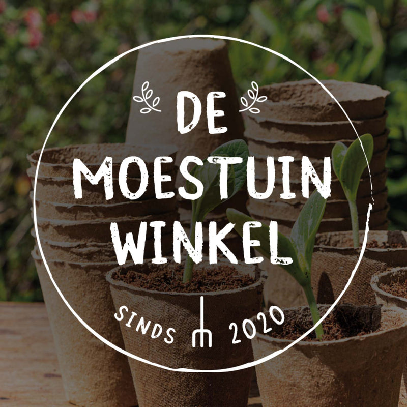 Terracotta aardbeienpot met planten in een moestuin