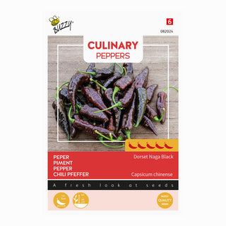 Piments 'Naga Black'