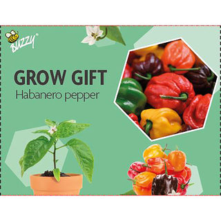 Cadeau à faire pousser Piment