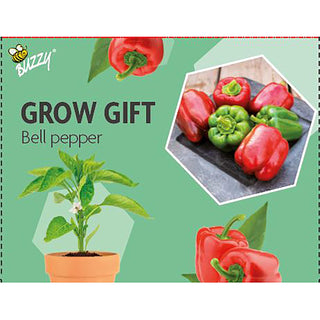 Cadeau à faire pousser Poivron