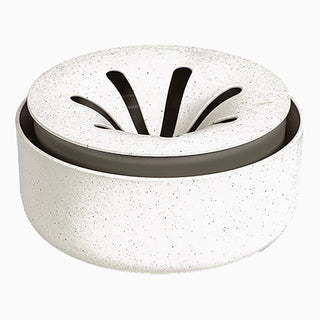 Plateau de germination Regrow