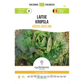 Laitue pommée Eerstling