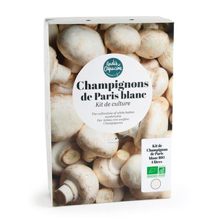 Champignons de Paris blancs BIO