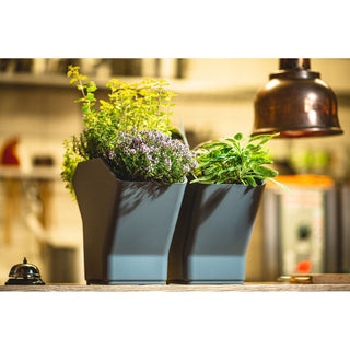 Tour de culture auto-arrosante