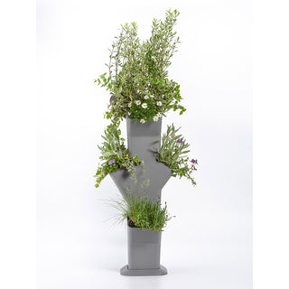 Tour de culture auto-arrosante