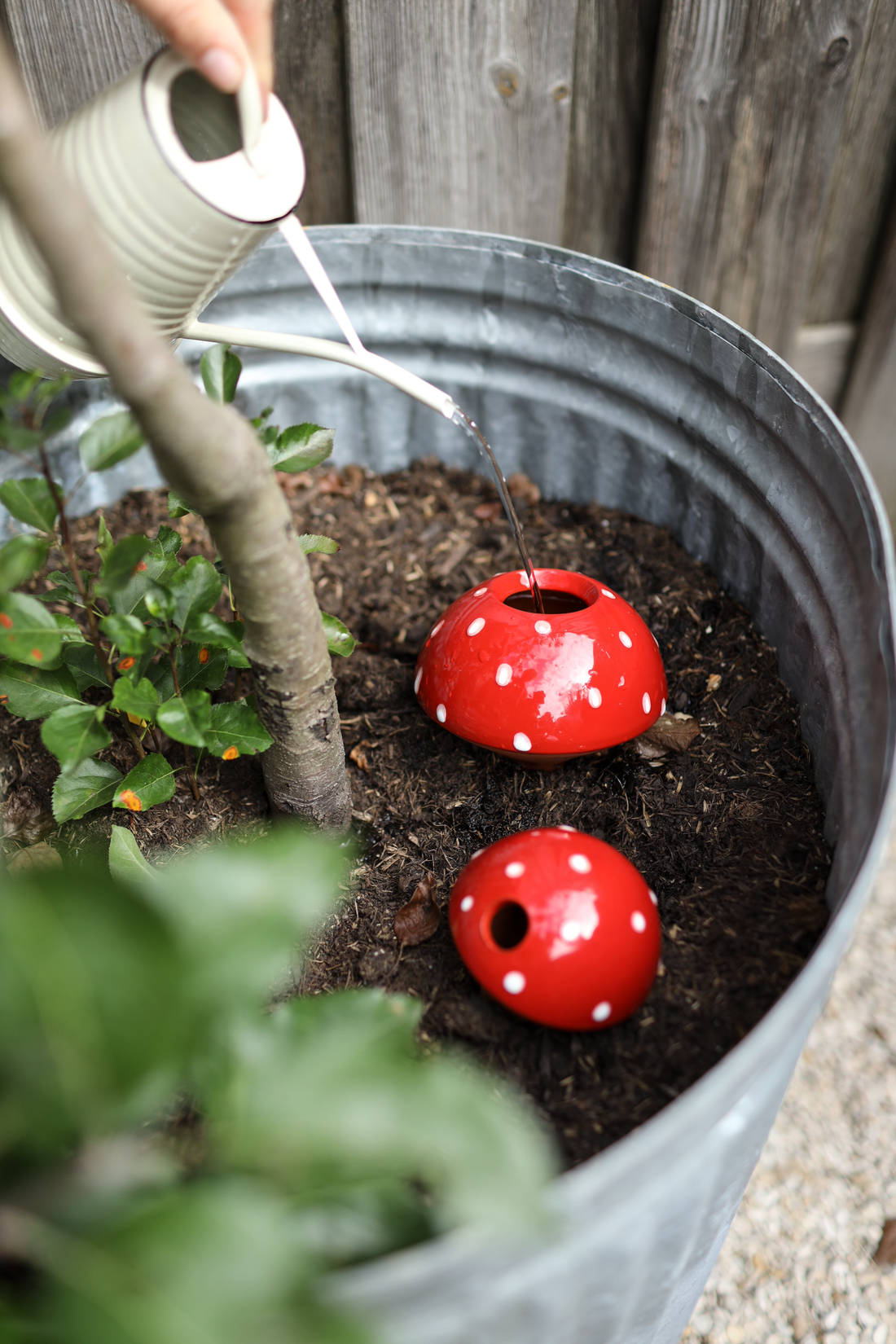 Offrez un peu d’inspiration pour le jardin