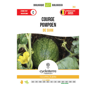 Courge 'Siam'