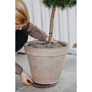 Wol Mulchschijf (2) Nelson Garden