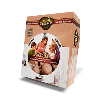 Champignons bruns BIO
