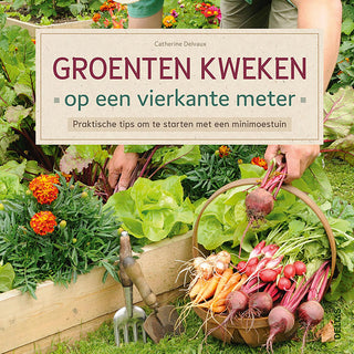 Groente Kweken op een Vierkante Meter