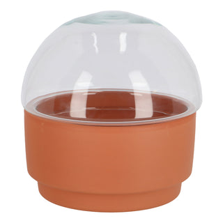 Plateau de germination terre cuite/verre
