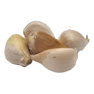 Ail éléphant (5 pièces)