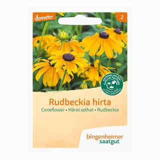 Rudbeckia – échinacée