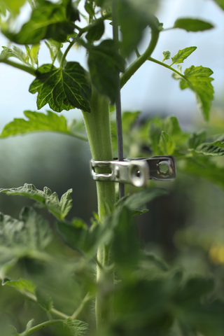 Clips pour plantes en métal (12)