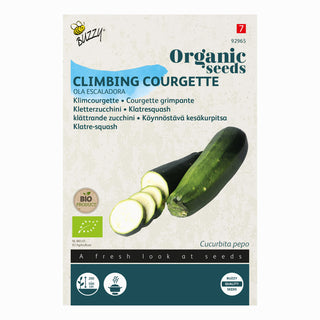 Courgette grimpante Ola Escaladora