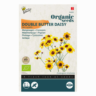 Œil-de-jeune-fille (Coreopsis)