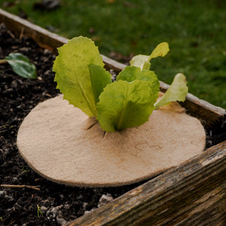 Disque de paillage en jute