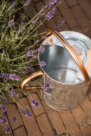 Arrosoir métal 9L Zinc