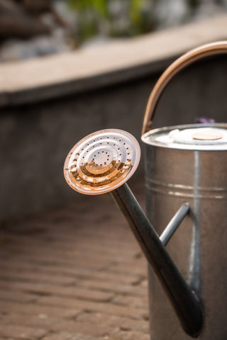 Arrosoir métal 9L Zinc