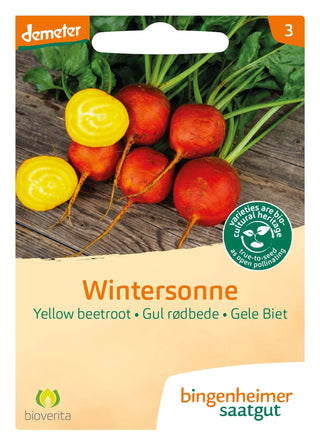 Betterave jaune 'Wintersonne'