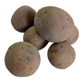 Pomme de terre de semence BIO Oscar 1kg