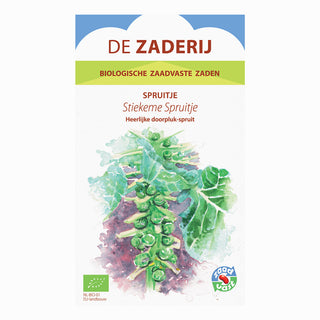 Chou de Bruxelles discret