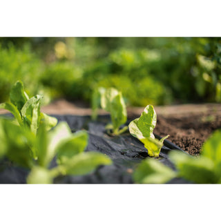 Bio Mulchfolie op Rol Stocker