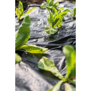 Bio Mulchfolie op Rol Stocker