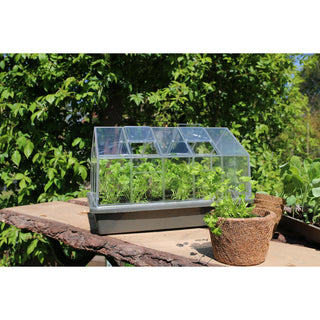 Serre de culture classique