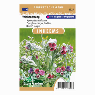 Cynoglosse officinale