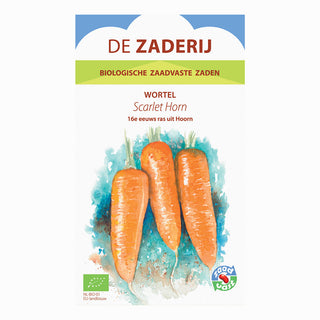 Carotte 'Scarlet Horn'