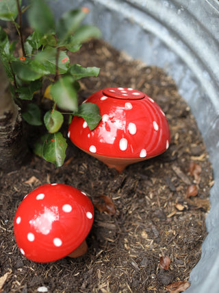 Olla Champignon « Zwam »