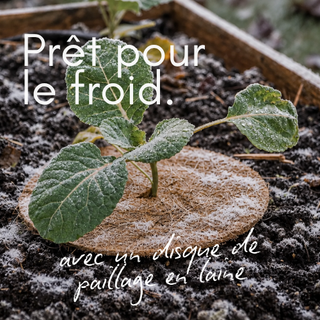 Promo FR 4