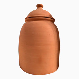 Pot de forçage en terre cuite + couvercle (53cm)