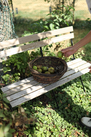 Panier de récolte Sienna en saule