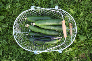 Cisaille de jardin Artisan