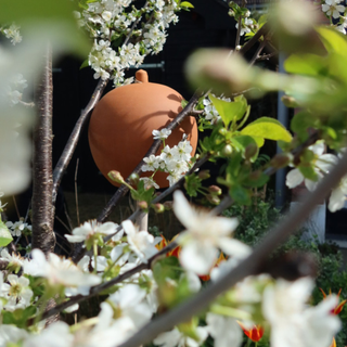 Pot à perce-oreilles