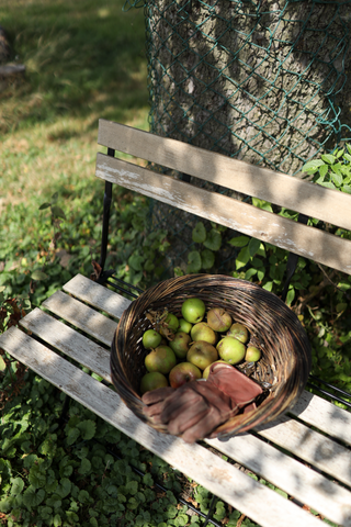 Panier de récolte Sienna en saule