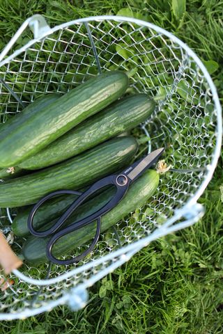 Cisaille de jardin Artisan