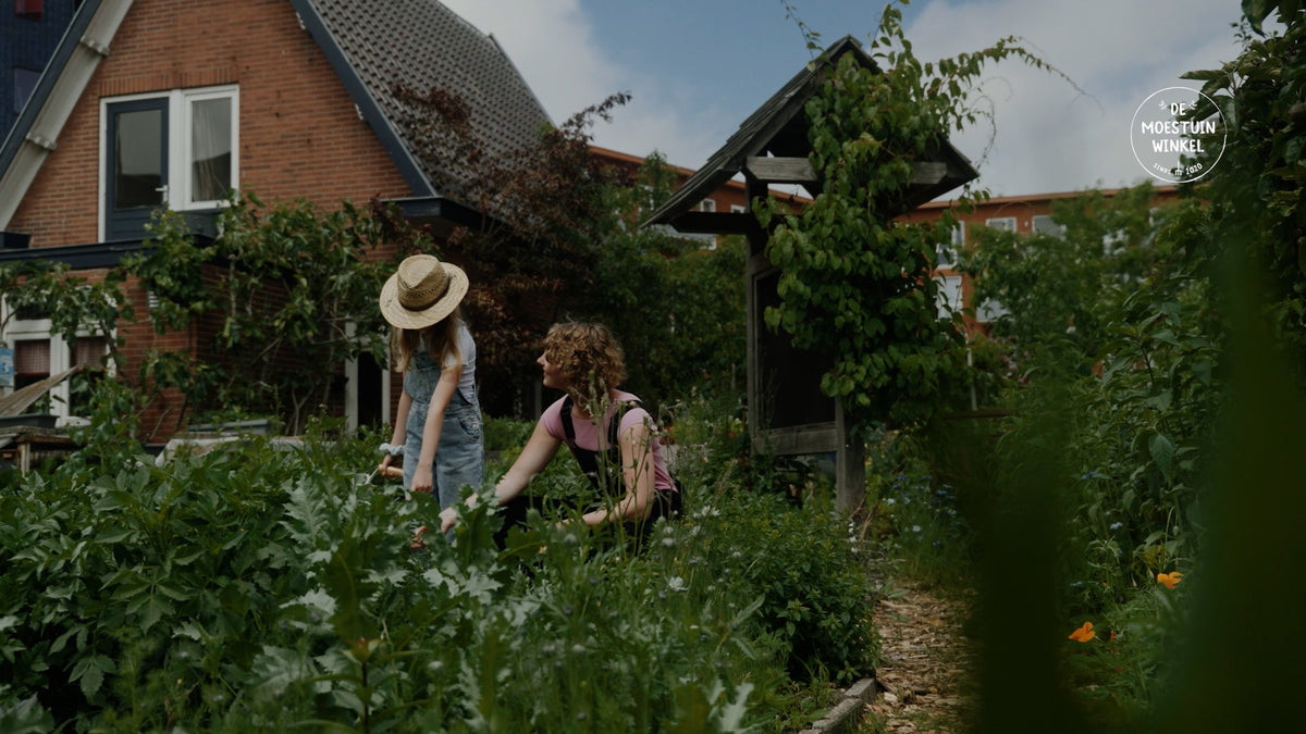 Kids - samen tuinieren
