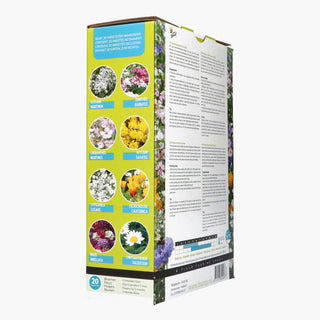 Friendly Flowers XL Abeilles basses 50m²