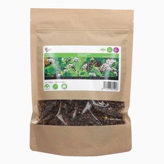 Buzzy Organic Boekweit 250g 881522