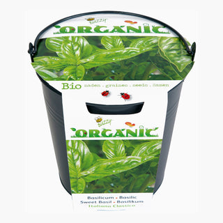 Buzzy Organic Emmertje Basilicum