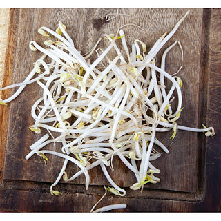 Kiemgroente Tauge in Glazen Pot