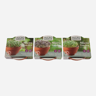 Microgreens Terra Schaaltje Rode Mizuna