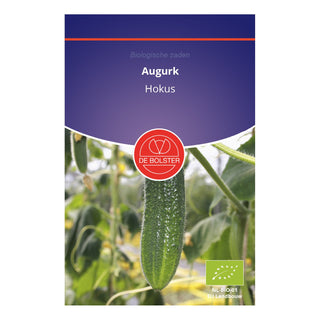 De Bolster Augurk 'Hokus' 1030