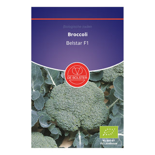 De Bolster Broccoli 'Belstar F1' 1465