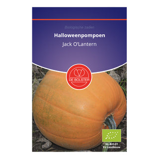 De Bolster Halloweenpompoen 'Jack O’Lantern'