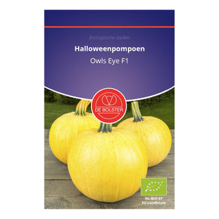 De Bolster Halloweenpompoen 'Owls Eye F1' 1646
