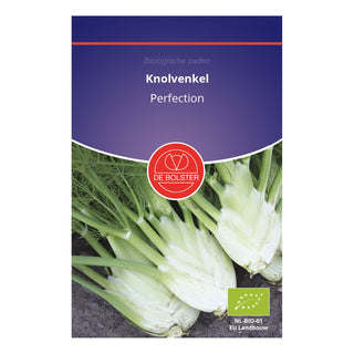 De Bolster Knolvenkel 'Perfection' 1425